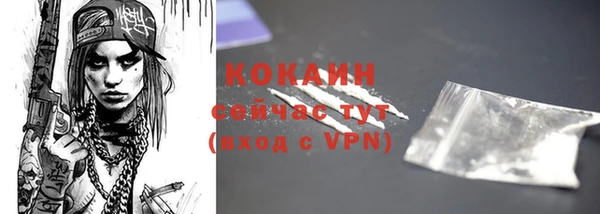 дмт Нея