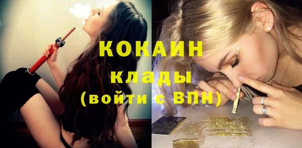 сатива Алзамай