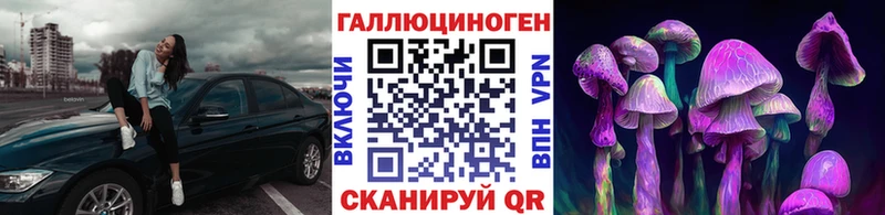 Псилоцибиновые грибы Psilocybine cubensis  дарк нет какой сайт  Славск  купить наркоту 